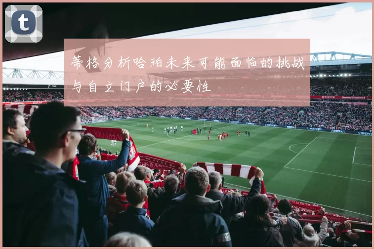蒂格分析哈珀未来可能面临的挑战与自立门户的必要性