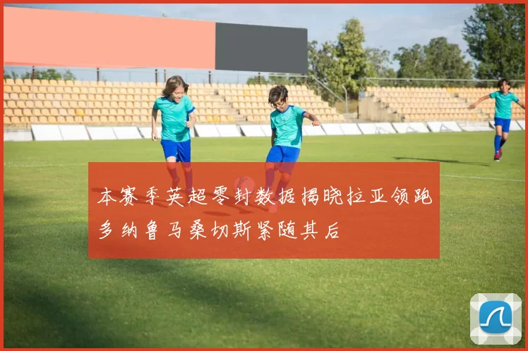 本赛季英超零封数据揭晓拉亚领跑多纳鲁马桑切斯紧随其后